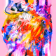 Visual Deluge V2