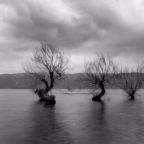  1/1 Photography by Mayudrops