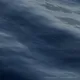446
