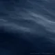 445