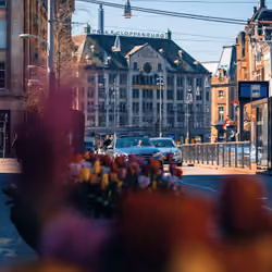 AMS#9 Amsterdam
