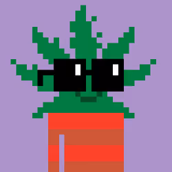 Stoned Nouns #2507
