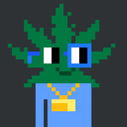 Stoned Nouns #2916