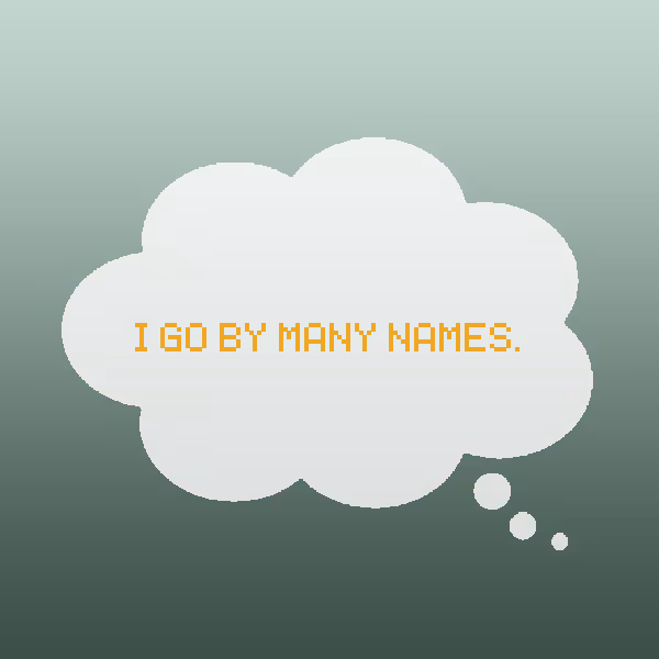 I go by many names.