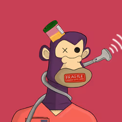 4048