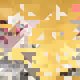 57896044618658097711785492504343953926634992332820282019728792003956564820736