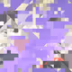 57896044618658097711785492504343953926634992332820282019728792003956564819970