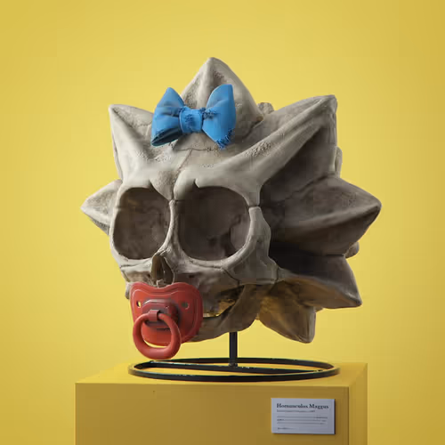 Item #40400040005 Media