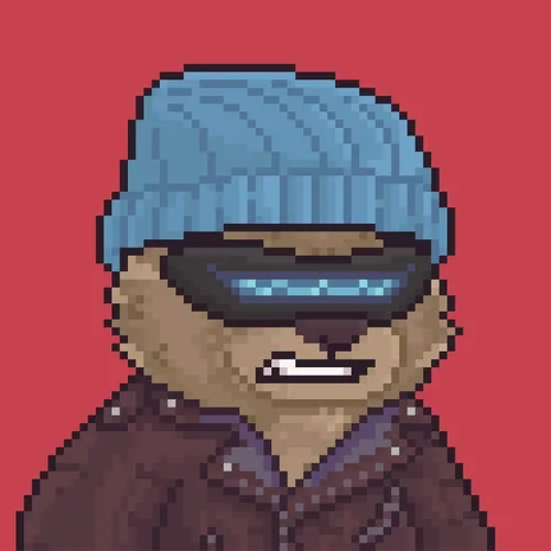 Brawler Bearz