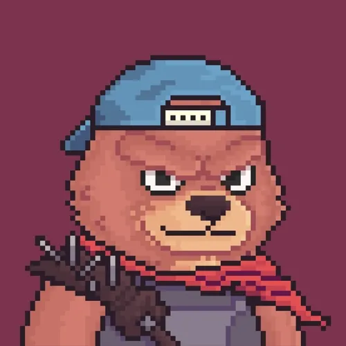 Brawler Bearz