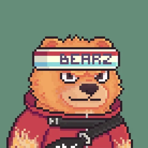 Brawler Bearz