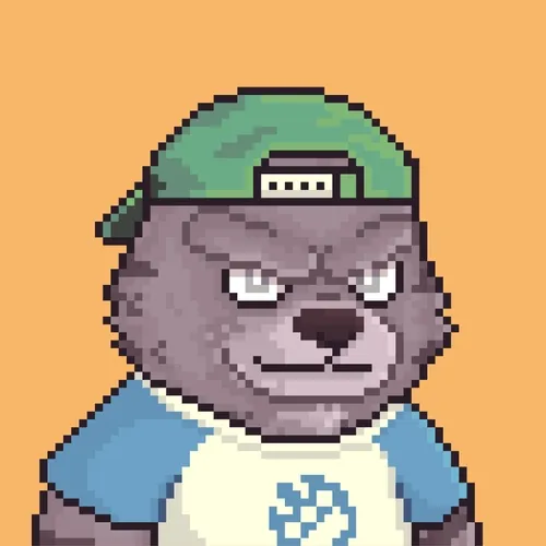 Brawler Bearz