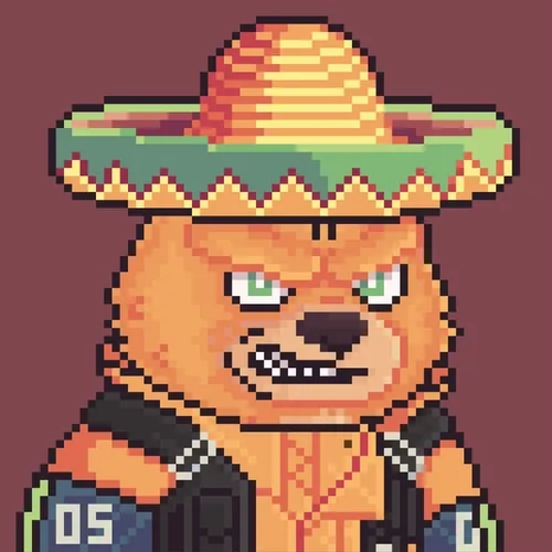 Brawler Bearz