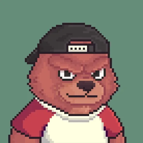 Brawler Bearz
