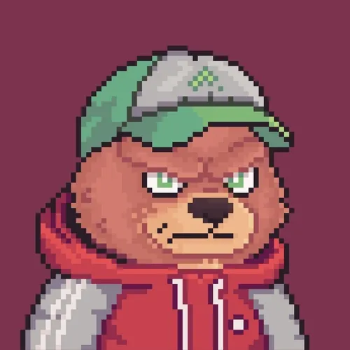 Brawler Bearz