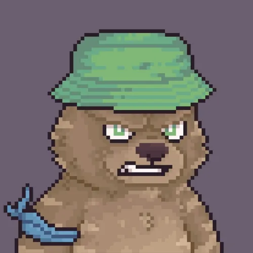 Brawler Bearz