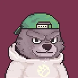 Brawler #822
