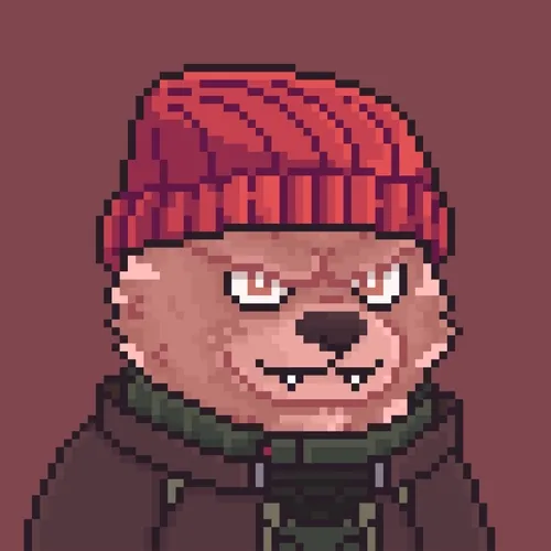 Brawler Bearz