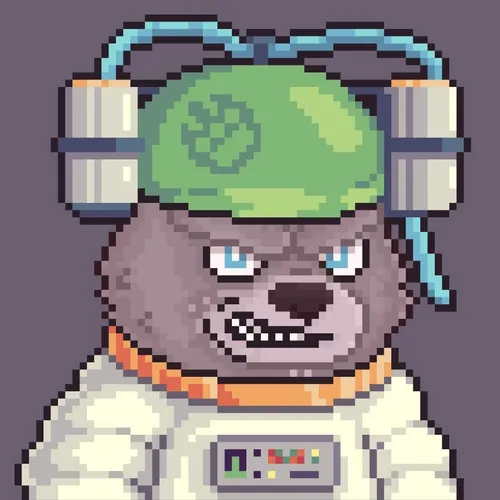 Brawler Bearz