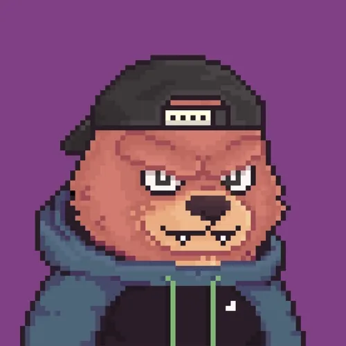 Brawler Bearz