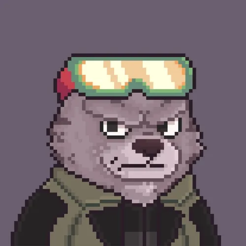 Brawler Bearz