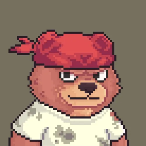 Brawler Bearz