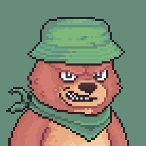 Brawler Bearz