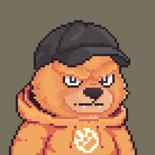 Brawler Bearz