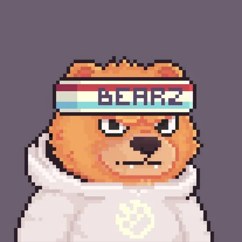 Brawler Bearz