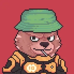 Brawler #16