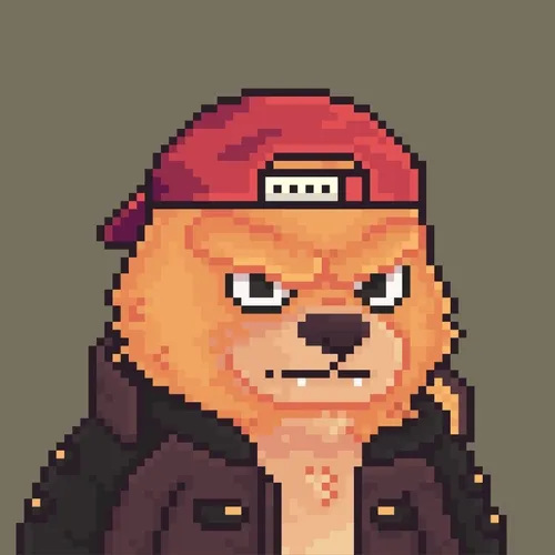 Brawler #216