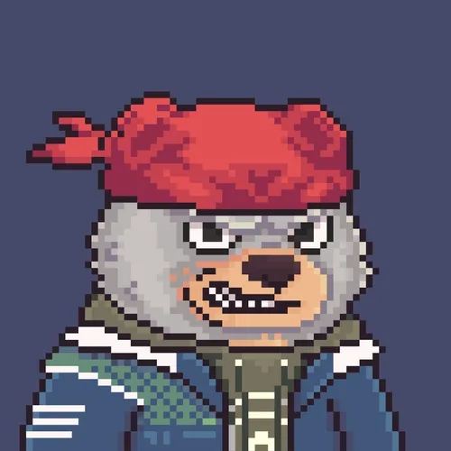 Brawler Bearz