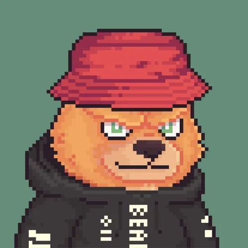 Brawler Bearz