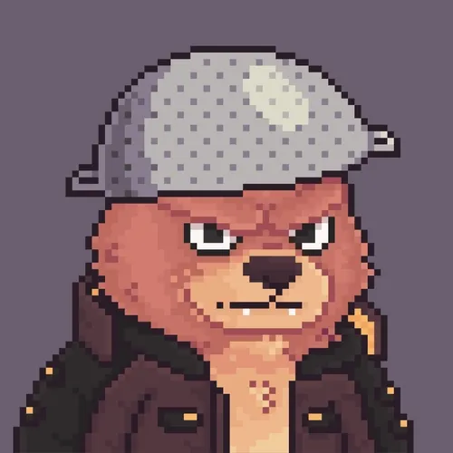 Brawler Bearz