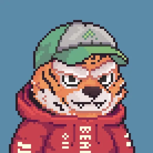 Brawler Bearz