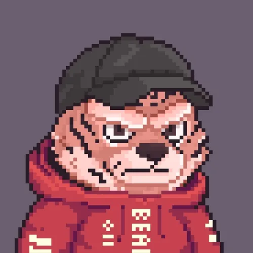 Brawler Bearz