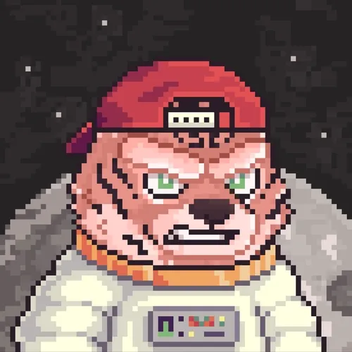 Brawler Bearz