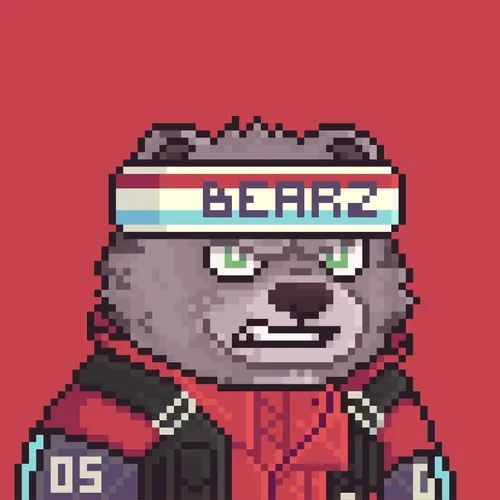 Brawler Bearz