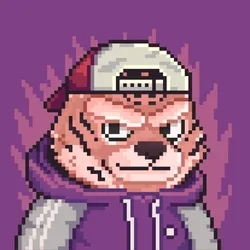 Brawler #3976