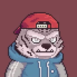 Brawler #1029