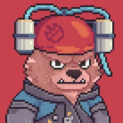 Brawler Bearz