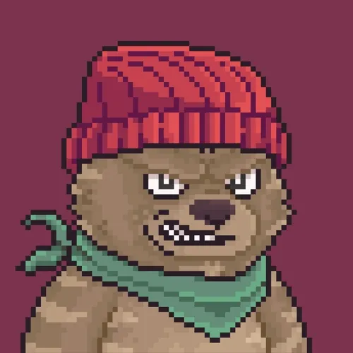 Brawler Bearz