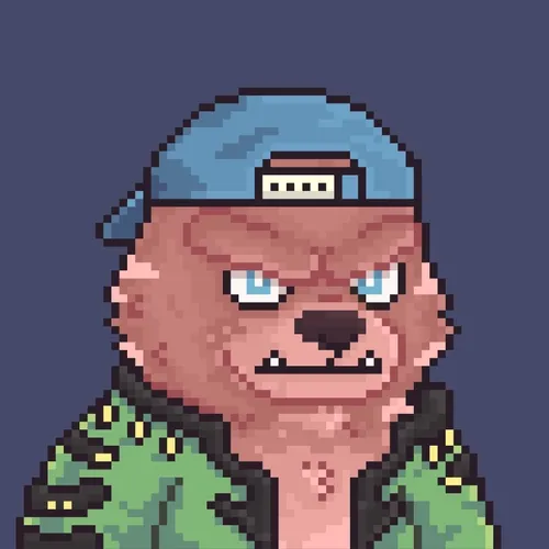 Brawler Bearz