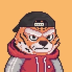 Brawler #2176