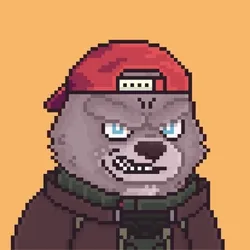 Brawler #2999