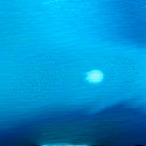 Photon Mitosis -- A Journey of Energy