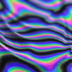 Fabric