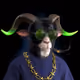 804
