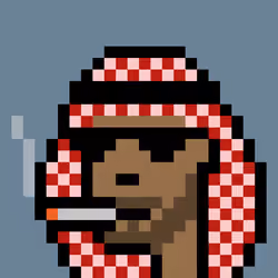 The Emiratis #4835