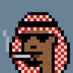 The Emiratis #539